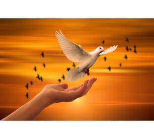 Праздник «Сохраним алтайские породы голубей»