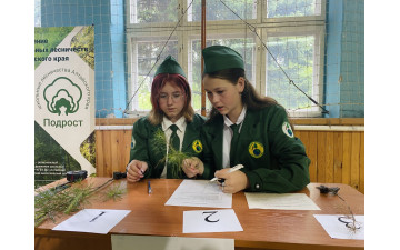 XXI Всероссийский Юниорский лесной конкурс «Подрост»