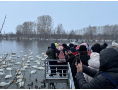 08.12.2024 Экскурсия в заказник "Лебединый"