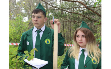 Конкурс школьных лесничеств «Мы сохраняем лес»