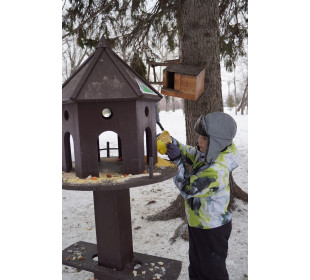 Обучающиеся краевого детского Экоцентра приняли участие в акции «Добрая зима для птиц»