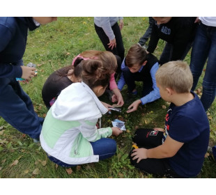 Как проходят занятия школьников по программе «Экология леса»