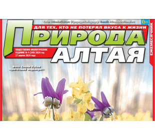 Опубликован 4 номер газеты "Природа Алтая"
