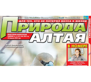 Проекту “Экогид Алтая” посвящены несколько материалов нового выпуска газеты “Природа Алтая”