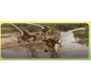 Зачем динозавры стали птицами? / Редакция.Наука