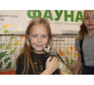 Выставка животных под девизом – «Мы в ответе за тех, кого приручили» – состоялась в Барнауле