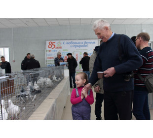 25 февраля в АКДЭЦ прошла выставка породистых голубей, посвященная памяти В.А. Романова и Дню защитника Отечества