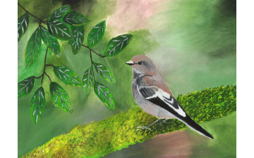 Конкурс детского рисунка «Птицы русского леса»